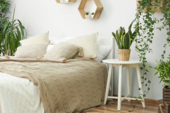 Is sleeping with plants in the bedroom dangerous?