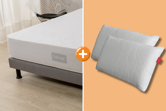 Pack Coussin Viscoélastique + Protège-Matelas Aloe Vera Imperméable
