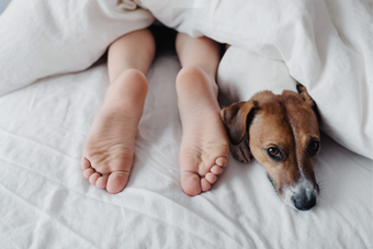 Dormir com animais de estimação é recomendado?