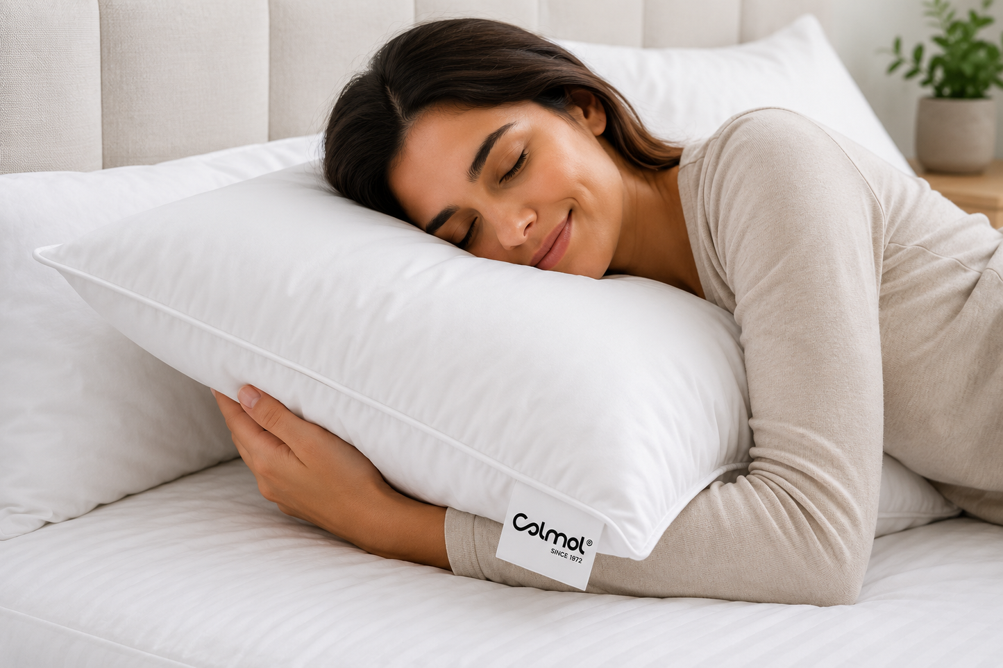Almofada Colmol Penas