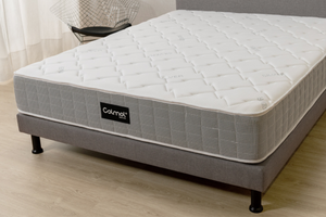 SSI® Millenar Mattress